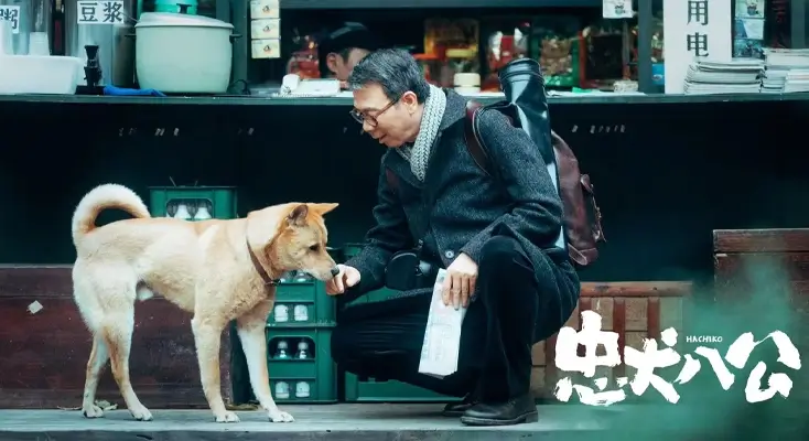 在国外用懂球帝很卡怎么办